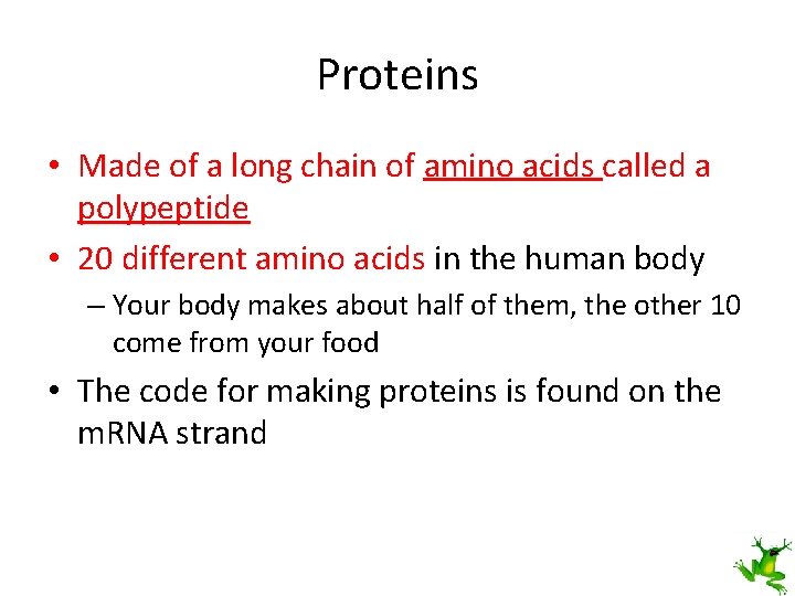 Proteins • Made of a long chain of amino acids called a polypeptide •