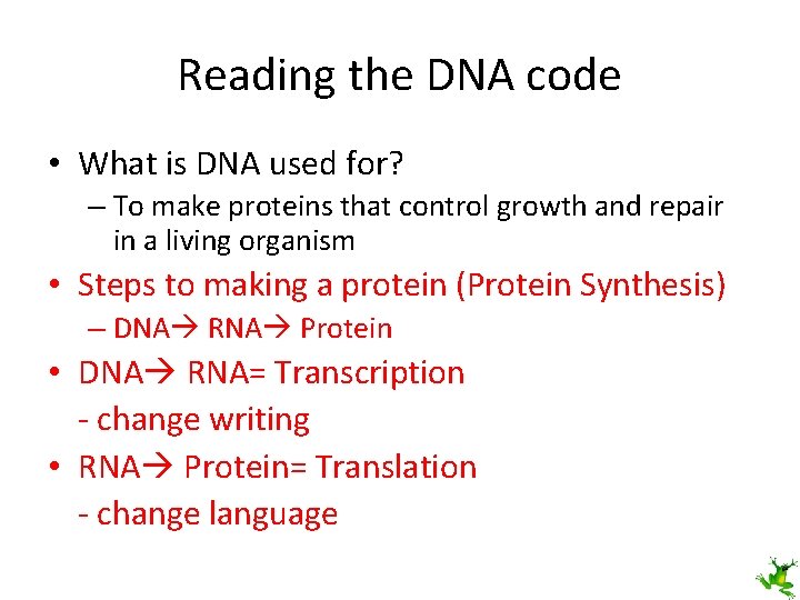 Reading the DNA code • What is DNA used for? – To make proteins