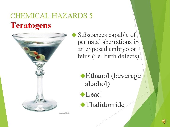 CHEMICAL HAZARDS 5 Teratogens Substances capable of perinatal aberrations in an exposed embryo or