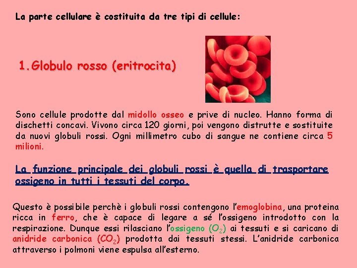 La parte cellulare è costituita da tre tipi di cellule: 1. Globulo rosso (eritrocita)