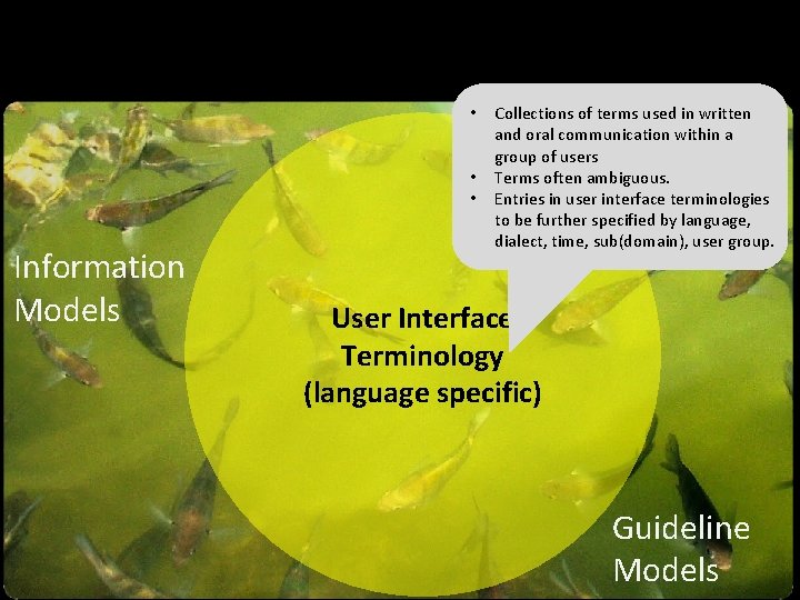  • • • Information Models Collections of terms used in written and oral