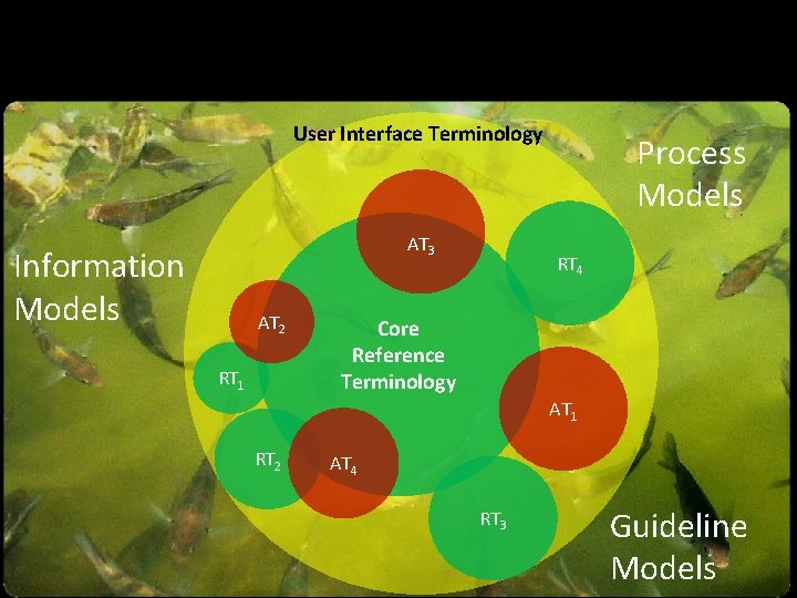 User Interface Terminology AT 3 Information Models AT 2 RT 1 Process Models RT