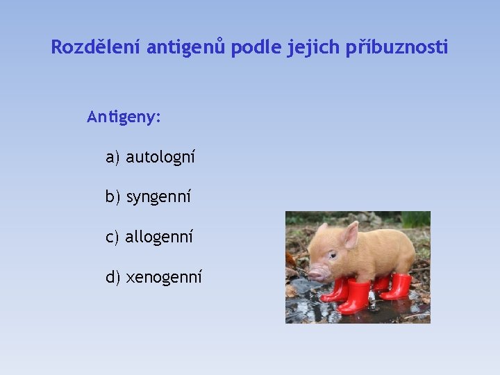 Rozdělení antigenů podle jejich příbuznosti Antigeny: a) autologní b) syngenní c) allogenní d) xenogenní