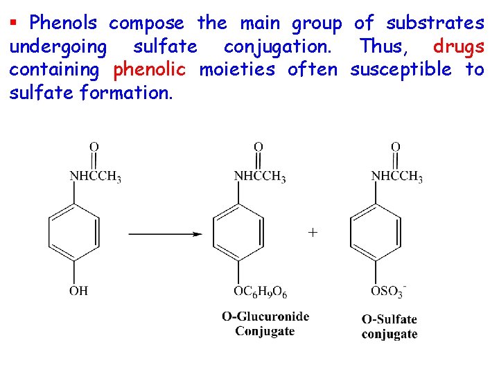 § Phenols compose the main group of substrates undergoing sulfate conjugation. Thus, drugs containing