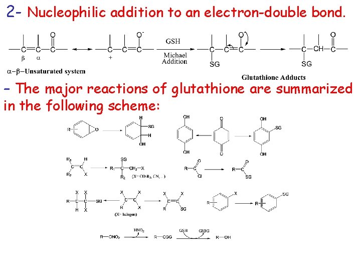 2 - Nucleophilic addition to an electron-double bond. – The major reactions of glutathione