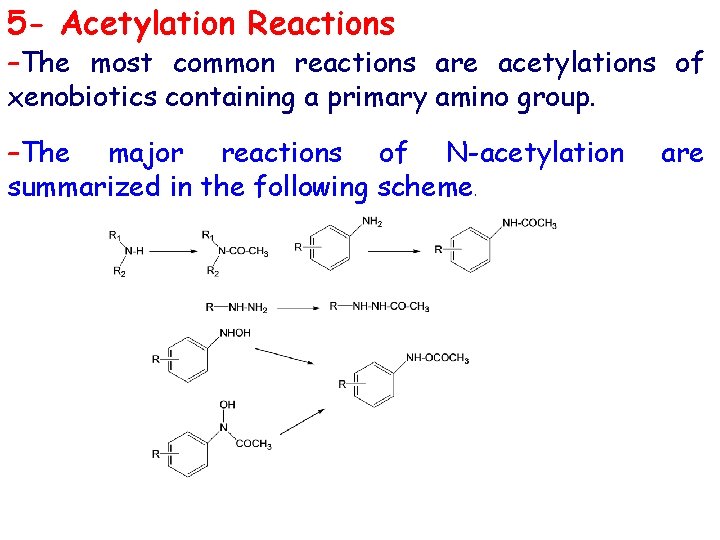 5 - Acetylation Reactions –The most common reactions are acetylations of xenobiotics containing a