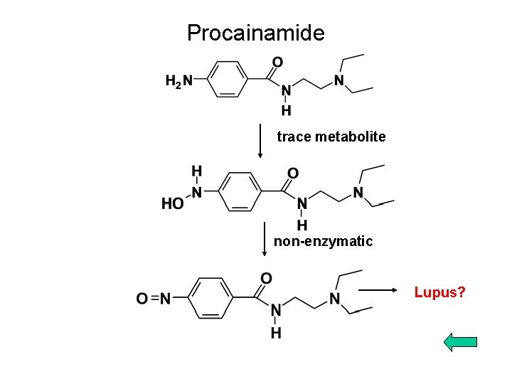 Procainamide trace metabolite non-enzymatic Lupus? 