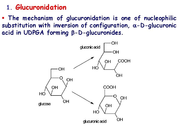 1. Glucuronidation § The mechanism of glucuronidation is one of nucleophilic substitution with inversion