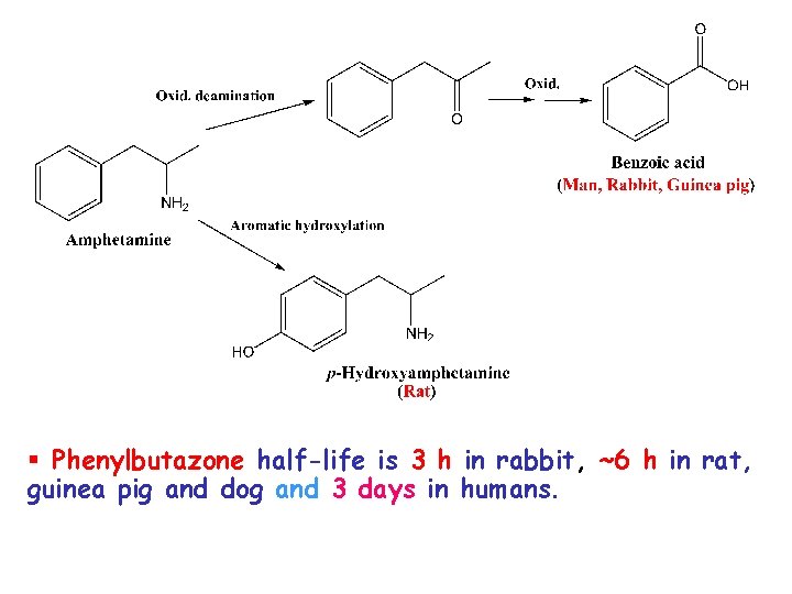 § Phenylbutazone half-life is 3 h in rabbit, ~6 h in rat, guinea pig