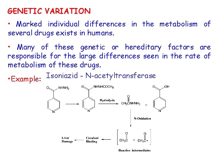 GENETIC VARIATION • Marked individual differences in the metabolism of several drugs exists in