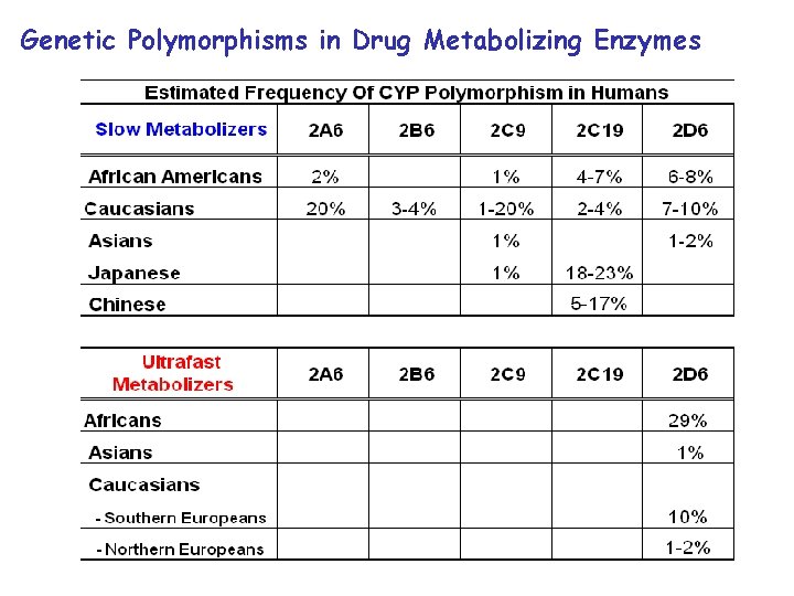 Genetic Polymorphisms in Drug Metabolizing Enzymes 