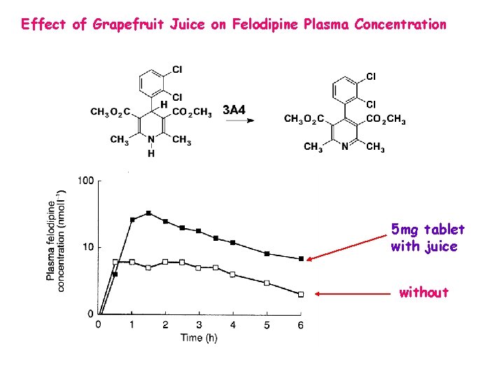 Effect of Grapefruit Juice on Felodipine Plasma Concentration 5 mg tablet with juice without