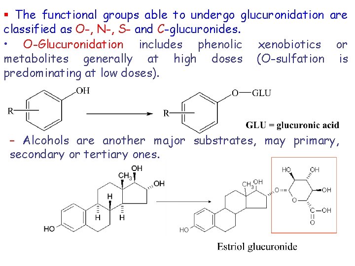 § The functional groups able to undergo glucuronidation are classified as O-, N-, S-