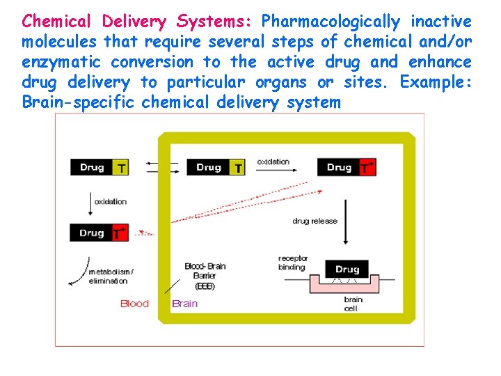 Chemical Delivery Systems: Pharmacologically inactive molecules that require several steps of chemical and/or enzymatic