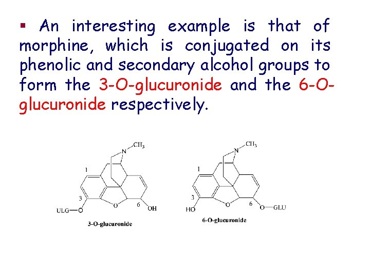 § An interesting example is that of morphine, which is conjugated on its phenolic