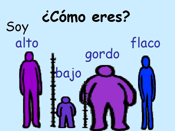 Soy alto ¿Cómo eres? gordo bajo flaco 