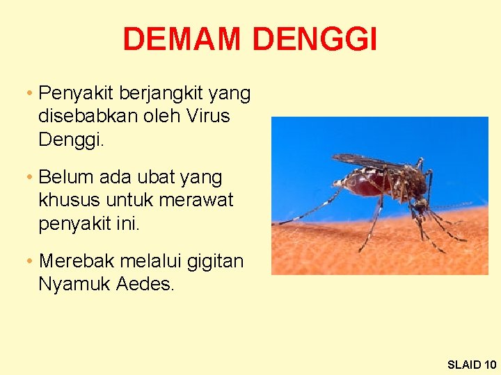 DEMAM DENGGI • Penyakit berjangkit yang disebabkan oleh Virus Denggi. • Belum ada ubat