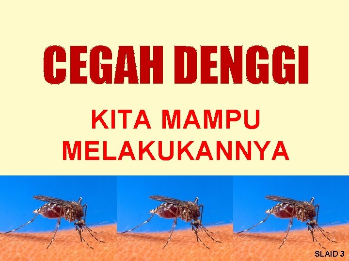 CEGAH DENGGI KITA MAMPU MELAKUKANNYA SLAID 3 