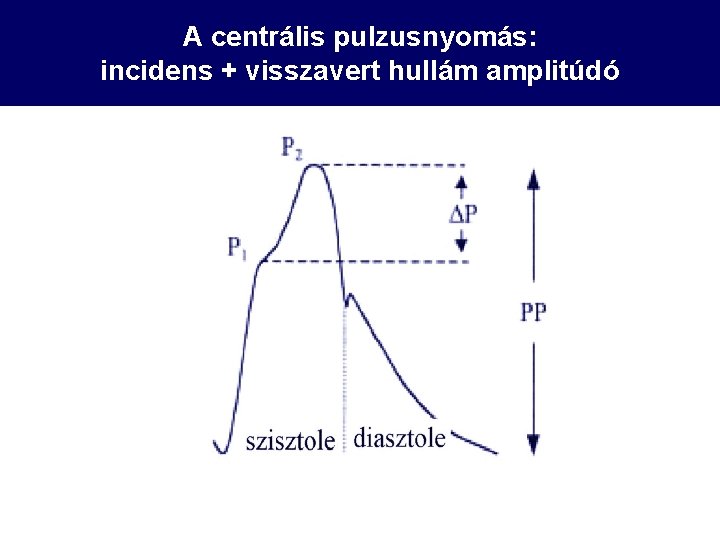 A centrális pulzusnyomás: incidens + visszavert hullám amplitúdó 