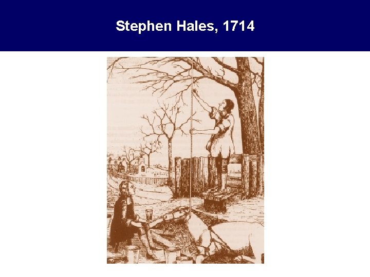 Stephen Hales, 1714 