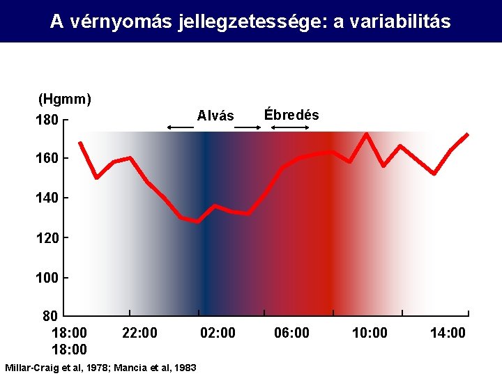 A vérnyomás jellegzetessége: a variabilitás (Hgmm) 180 Alvás Ébredés 02: 00 06: 00 160