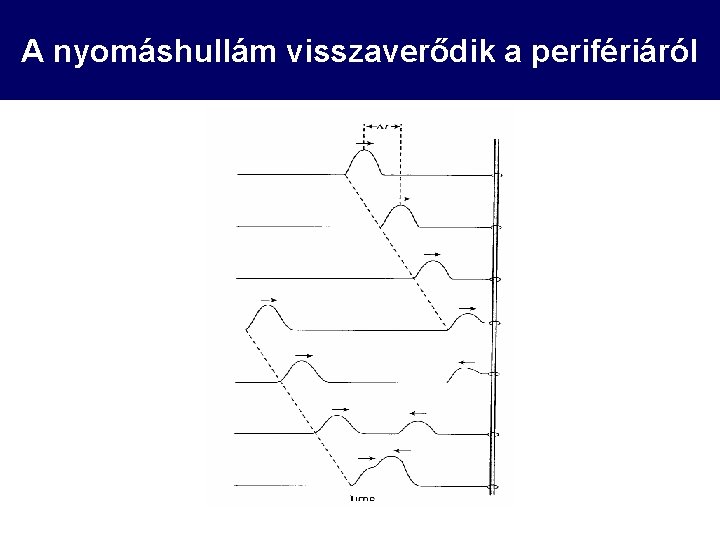 A nyomáshullám visszaverődik a perifériáról 