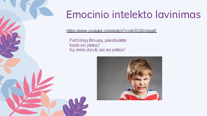 Emocinio intelekto lavinimas https: //www. youtube. com/watch? v=4 XR 23 XKppp. E Peržiūrėję filmuką,