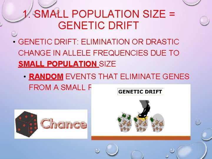 1. SMALL POPULATION SIZE = GENETIC DRIFT • GENETIC DRIFT: ELIMINATION OR DRASTIC CHANGE 1. SMALL POPULATION SIZE = GENETIC DRIFT • GENETIC DRIFT: ELIMINATION OR DRASTIC CHANGE