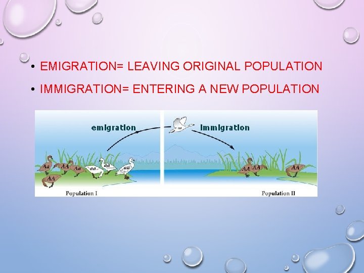 • EMIGRATION= LEAVING ORIGINAL POPULATION • IMMIGRATION= ENTERING A NEW POPULATION • EMIGRATION= LEAVING ORIGINAL POPULATION • IMMIGRATION= ENTERING A NEW POPULATION