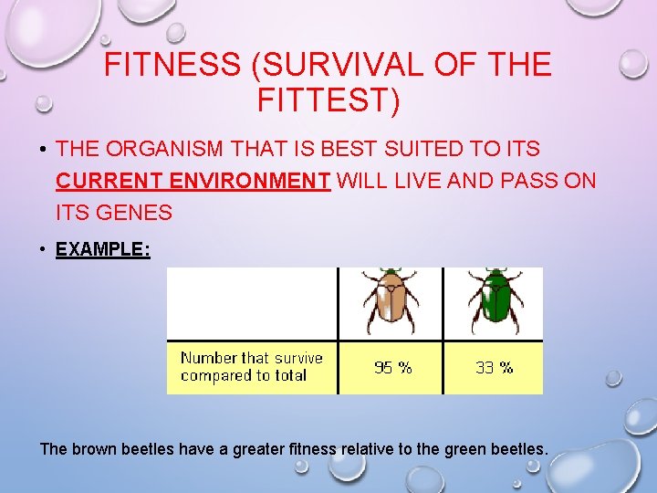 FITNESS (SURVIVAL OF THE FITTEST) • THE ORGANISM THAT IS BEST SUITED TO ITS FITNESS (SURVIVAL OF THE FITTEST) • THE ORGANISM THAT IS BEST SUITED TO ITS