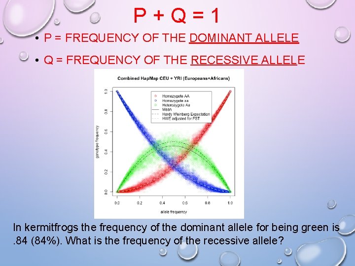 P+Q=1 • P = FREQUENCY OF THE DOMINANT ALLELE • Q = FREQUENCY OF P+Q=1 • P = FREQUENCY OF THE DOMINANT ALLELE • Q = FREQUENCY OF