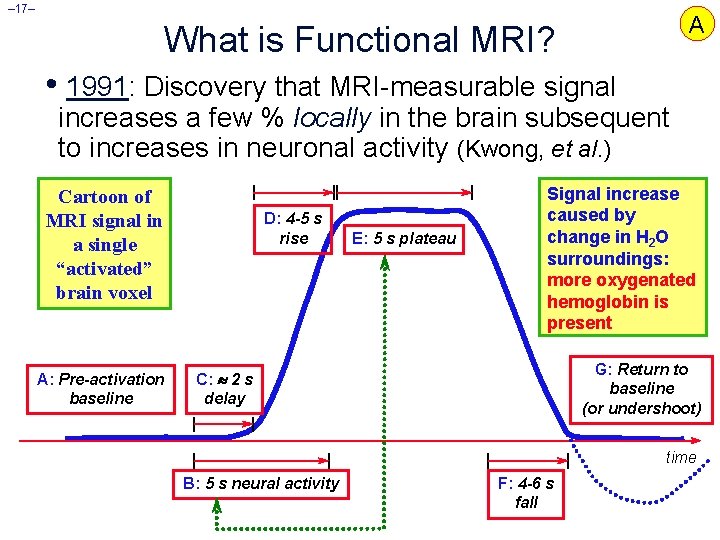 – 17– A What is Functional MRI? • 1991: Discovery that MRI-measurable signal increases