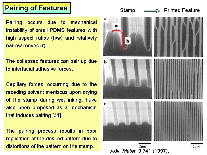 Pairing of Features Pairing occurs due to mechanical instability of small PDMS features with