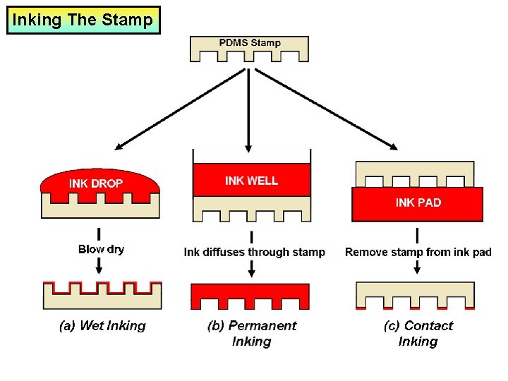 Inking The Stamp 