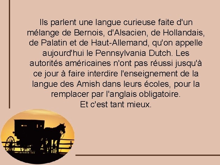 Ils parlent une langue curieuse faite d'un mélange de Bernois, d'Alsacien, de Hollandais, de