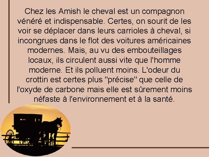 Chez les Amish le cheval est un compagnon vénéré et indispensable. Certes, on sourit