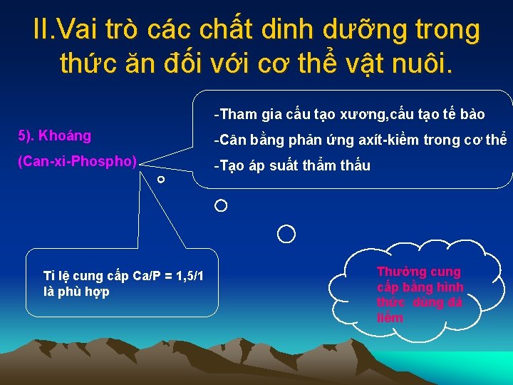 II. Vai trò các chất dinh dưỡng trong thức ăn đối với cơ thể