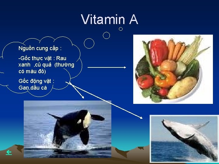 Vitamin A Nguồn cung cấp : -Gốc thực vật : Rau xanh , củ