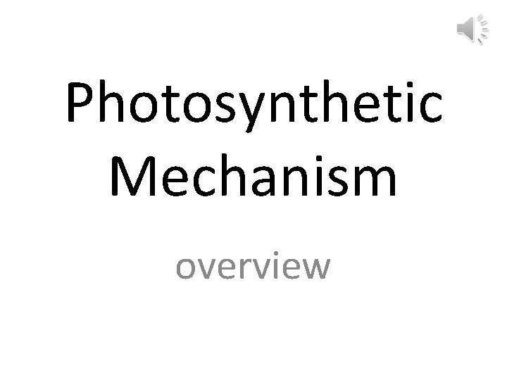 Photosynthetic Mechanism overview 