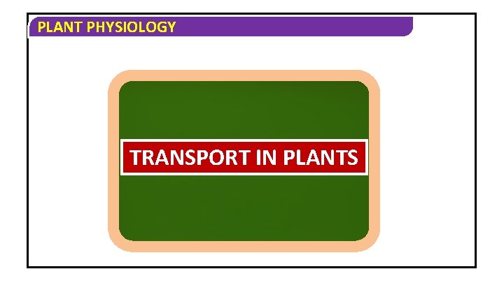 PLANT PHYSIOLOGY TRANSPORT IN PLANTS 