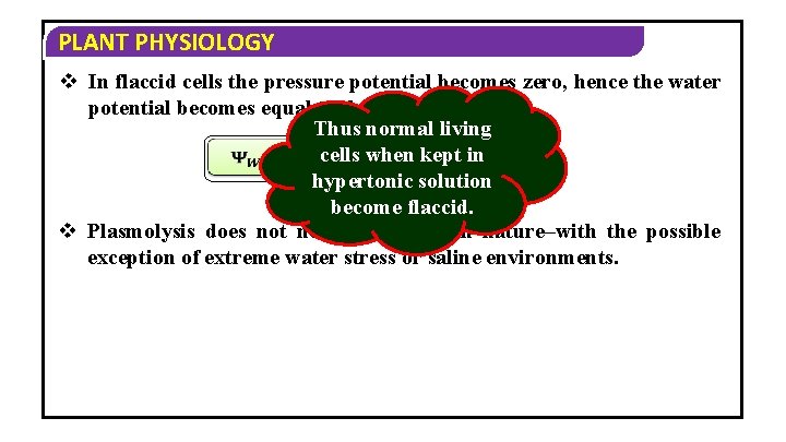 PLANT PHYSIOLOGY v In flaccid cells the pressure potential becomes zero, hence the water