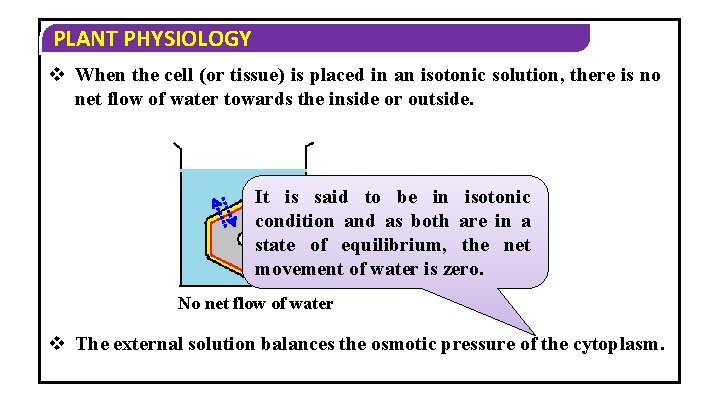 PLANT PHYSIOLOGY v When the cell (or tissue) is placed in an isotonic solution,