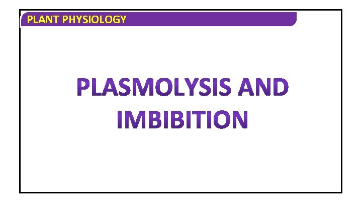 PLANT PHYSIOLOGY 