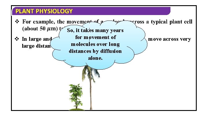 PLANT PHYSIOLOGY So, it takes many years movement of v In large and complex