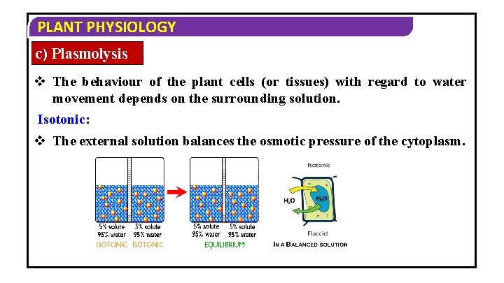 PLANT PHYSIOLOGY c) Plasmolysis v The behaviour of the plant cells (or tissues) with