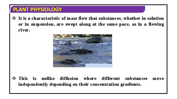 PLANT PHYSIOLOGY v It is a characteristic of mass flow that substances, whether in