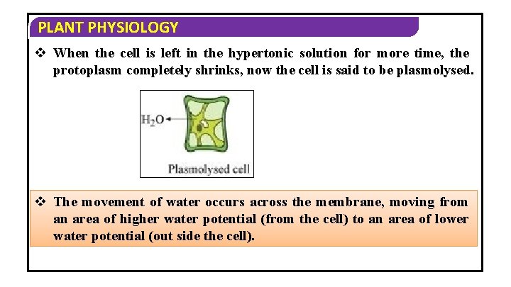 PLANT PHYSIOLOGY v When the cell is left in the hypertonic solution for more