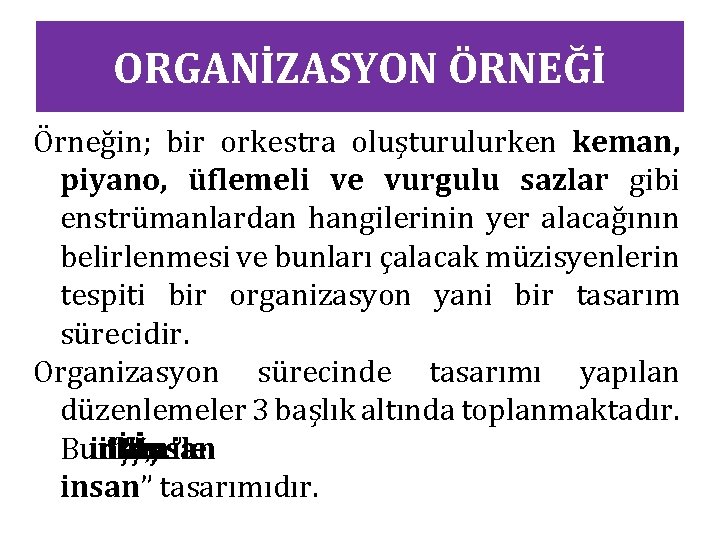 ORGANİZASYON ÖRNEĞİ Örneğin; bir orkestra oluşturulurken keman, piyano, üflemeli ve vurgulu sazlar gibi enstrümanlardan