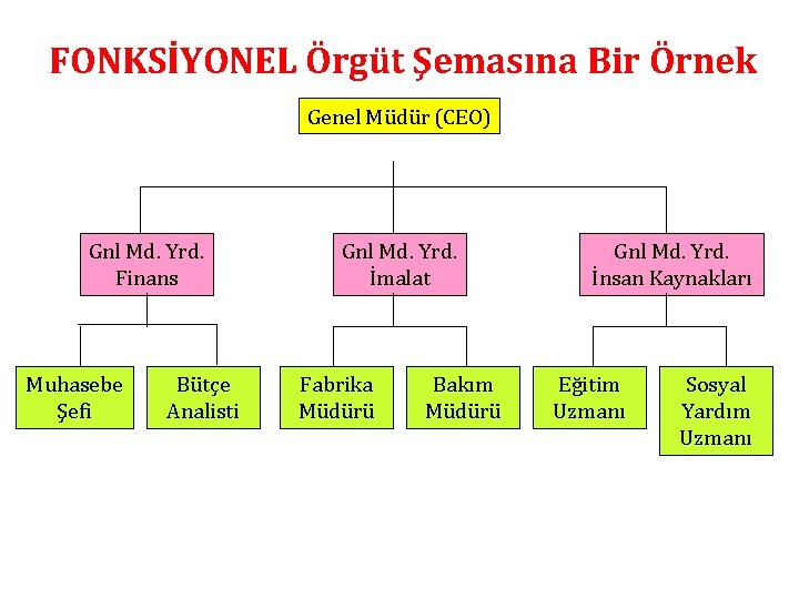 FONKSİYONEL Örgüt Şemasına Bir Örnek Genel Müdür (CEO) Gnl Md. Yrd. Finans Muhasebe Şefi