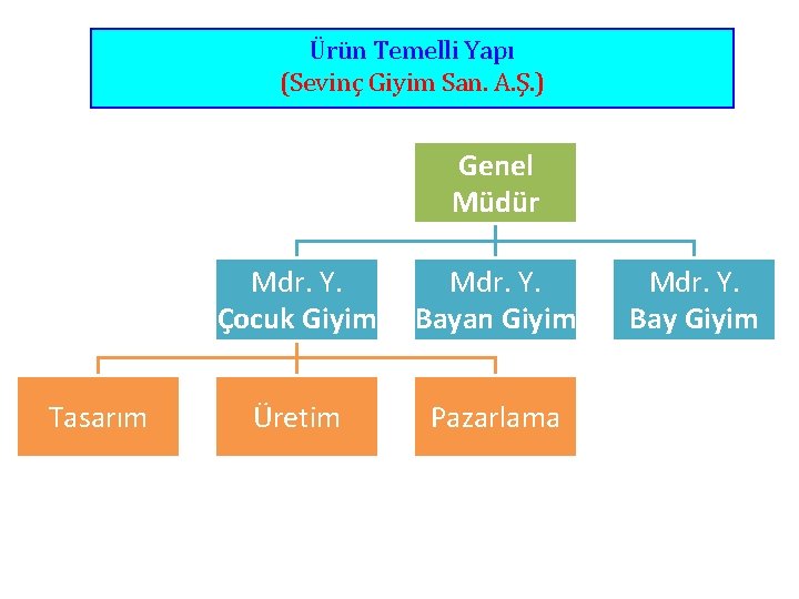 Ürün Temelli Yapı (Sevinç Giyim San. A. Ş. ) Genel Müdür Tasarım Mdr. Y.